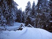 Immagini di sci nordico dalle piste dei Piani di Bobbio, di Schilpario e di Zambla (inverno 2010) - FOTOGALLERY